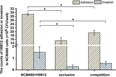 Probiotic Bacillus subtilis LF11 Protects Intestinal Epithelium Against Salmonella Infection